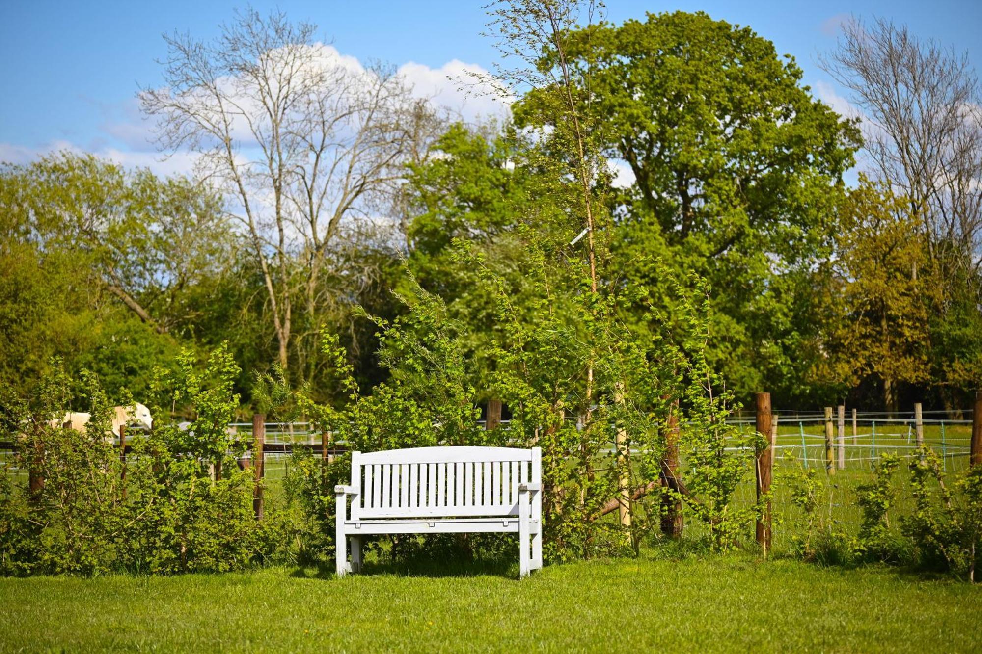 Bluebell Cabin Badsey Kültér fotó